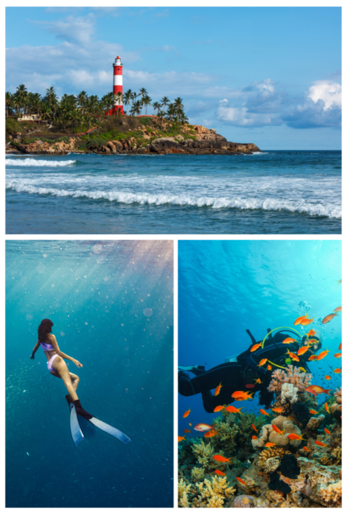 Bond Safari Collage (1080 x 1600 px)